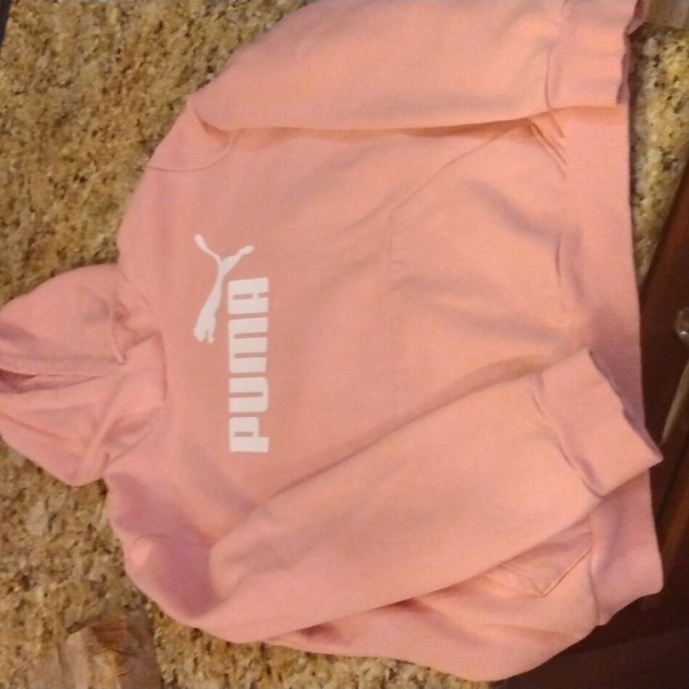 ♥️ HUGE CHAMPION/PUMA BUNDLE♥️ 7 SWEATERS/ HOODIES♥️Girls size L sweater/hoodie